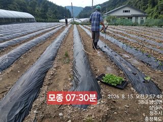 이경주님의 작성글 사진