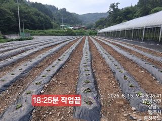 이경주님의 기타작물 · 영농일지 작성글 사진
