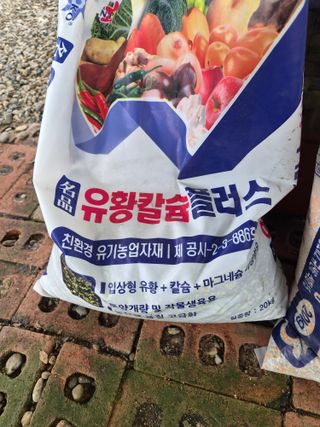 허민성님의 배추 · 영농일지 작성글 사진