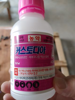 단감당감님의 감 · 영농일지 작성글 사진