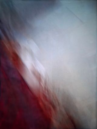 친환경아줌아님의 기타작물 · 영농일지 작성글 사진