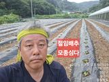 이경주님의 작성글 사진