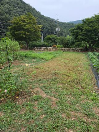 석이아빠님의 작성글 사진