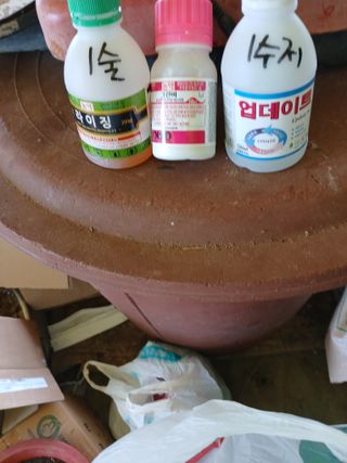 최유순님의 고추 · 영농일지 작성글 사진