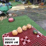 시민농장님의 작성글 사진