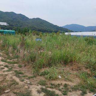 正覺님의 기타작물 · 영농일지 작성글 사진