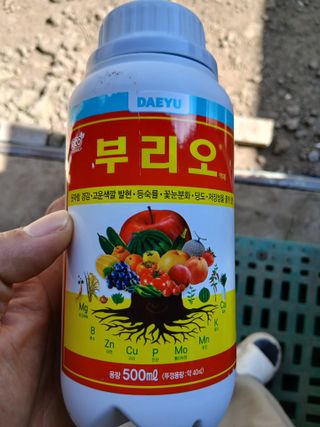 라이온3241님의 작성글 사진