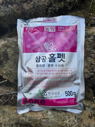 조정미님의 작성글 사진