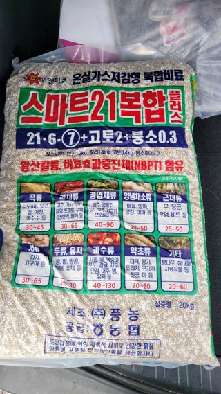 님의 배추 · 영농일지 작성글 사진