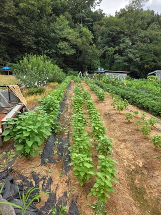 뚜비맘님의 작성글 사진