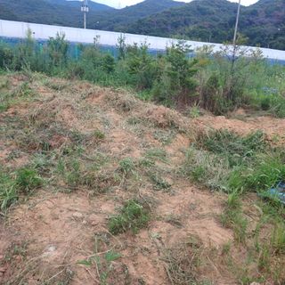 正覺님의 기타작물 · 영농일지 작성글 사진
