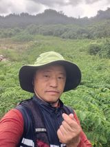 팜모닝 두릅·영농일지 게시글 이미지