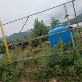 正覺님의 작성글 사진