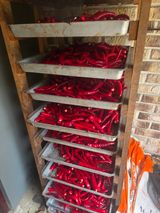 해근님의 작성글 사진
