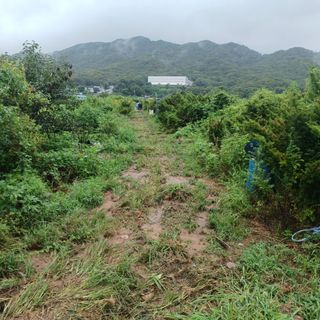 正覺님의 기타작물 · 영농일지 작성글 사진