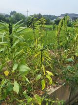 최병우님의 작성글 사진