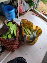 백영호님의 작성글 사진