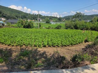 박석중님의 작성글 사진