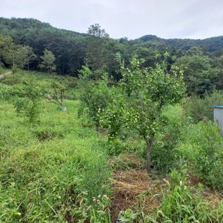 김건우님의 작성글 사진
