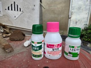 전태환님의 포도 · 영농일지 작성글 사진