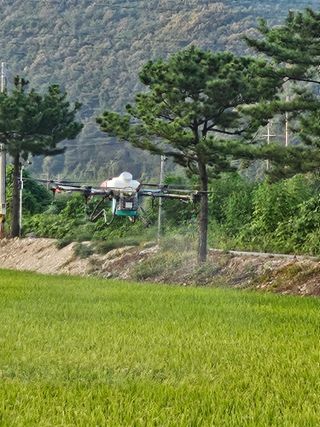 윤재하님의 기타작물 · 영농일지 작성글 사진
