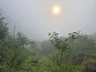 엉뚱님의 기타작물 · 영농일지 작성글 사진