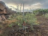 송창헌님의 작성글 사진