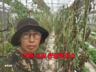 늘햇살팜 님의 기타작물 · 영농일지 작성글 사진