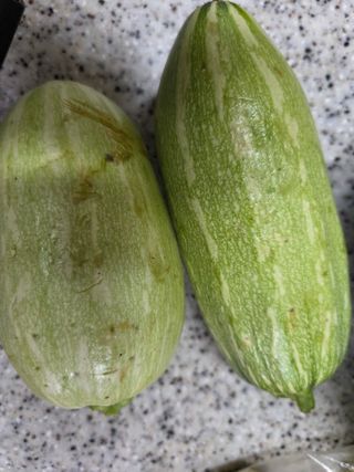 뚜비맘님의 작성글 사진