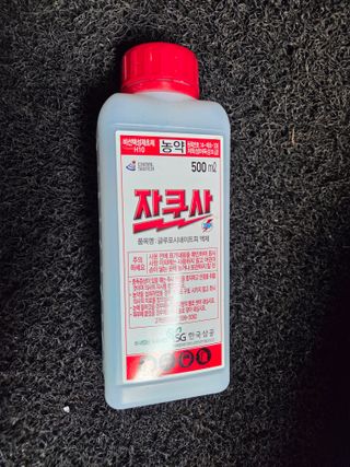 박병철님의 매실 · 영농일지 작성글 사진