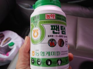 단감당감님의 감 · 영농일지 작성글 사진