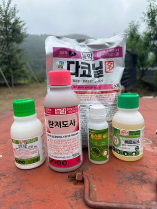 이익수님의 기타작물 · 영농일지 작성글 사진