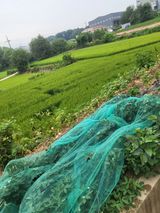 최병우님의 작성글 사진