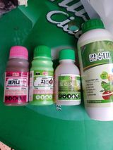 팜모닝 기타작물·영농일지 게시글 이미지