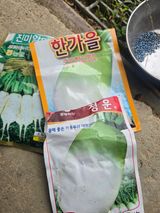 팜모닝 기타작물·영농일지 게시글 이미지