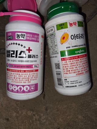 김종포님의 감 · 영농일지 작성글 사진