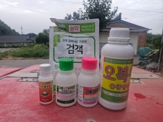성은모님의 기타작물 · 영농일지 작성글 사진