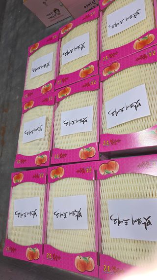 윤광원 님의 복숭아 · 영농일지 작성글 사진
