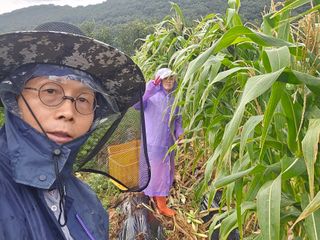 심기정님의 작성글 사진