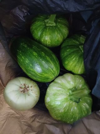 남궁봉님의 기타작물 · 영농일지 작성글 사진