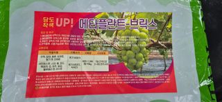 이화주님의 포도 · 영농일지 작성글 사진