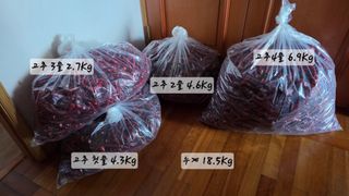 최석주님의 기타작물 · 영농일지 작성글 사진