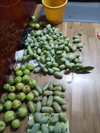 엄기덕님의 작성글 사진