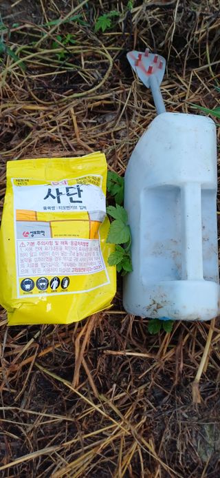 한재승님의 참깨 · 영농일지 작성글 사진