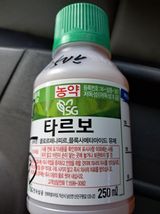 팜모닝 딸기·영농일지 게시글 이미지