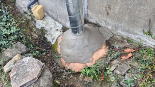 촌사리(김정대)님의 작성글 사진