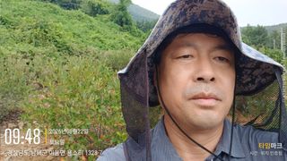 최강식님의 옥수수 · 영농일지 작성글 사진