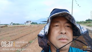 최강식님의 옥수수 · 영농일지 작성글 사진