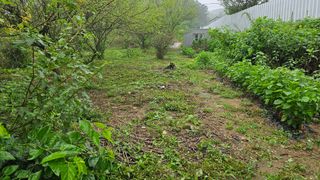 백운교님의 작성글 사진
