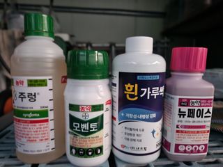 키다리님의 사과 · 영농일지 작성글 사진